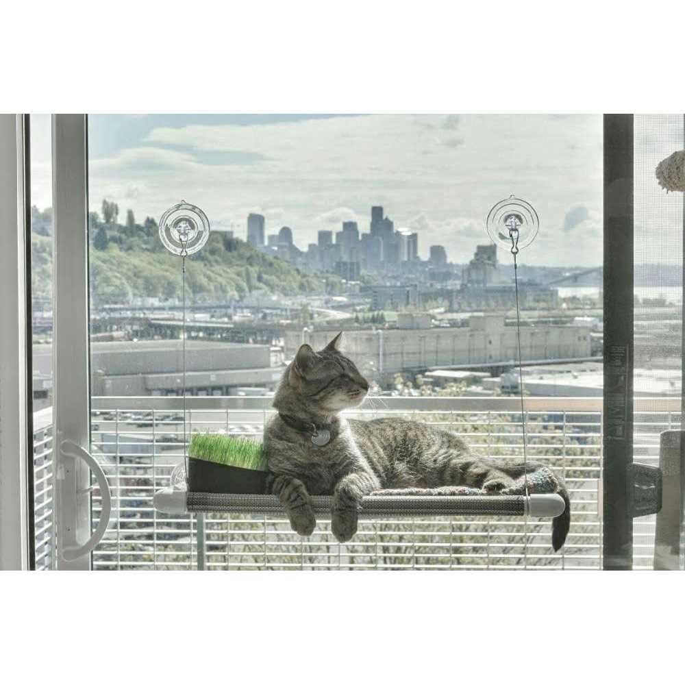 Cat Perch E4248