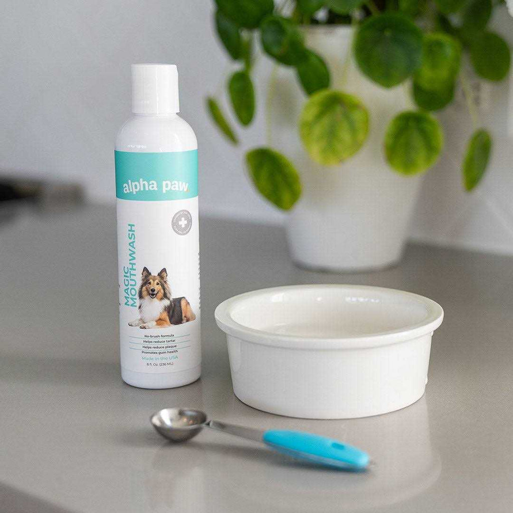 Dog Mouthwash R6615