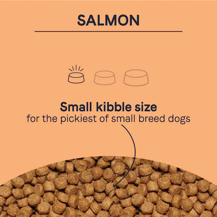 Salmon Dry Dog Food L639