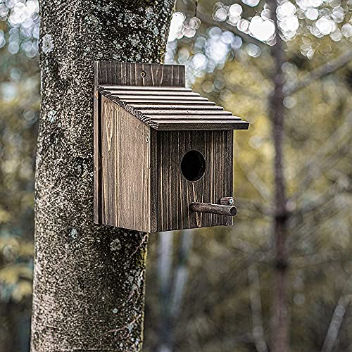 Weatherproof Wooden Bird House with Pole G26028
