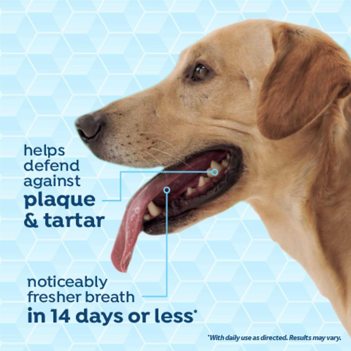 Fresh Breath Dog Dental Health Solution P7992