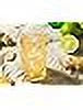 Diet Ginger Beer 12 oz Glass Q618618
