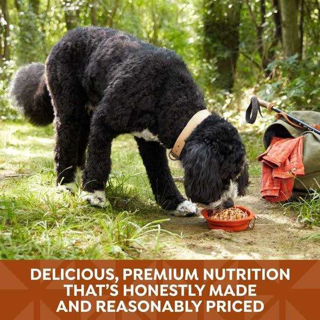 Grain Free Wet Dog Food A9583