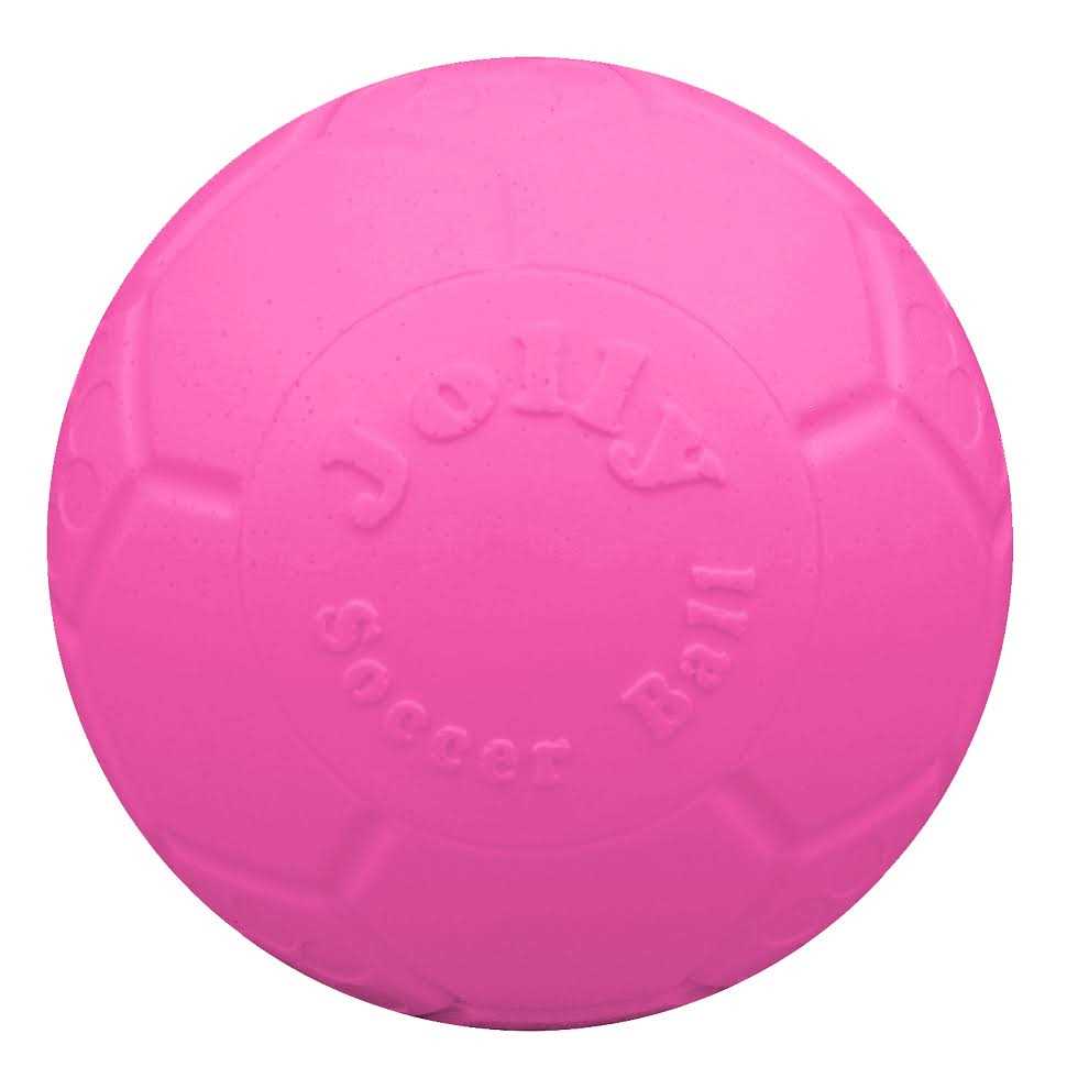 Soccer Ball Pet Supplies R781568