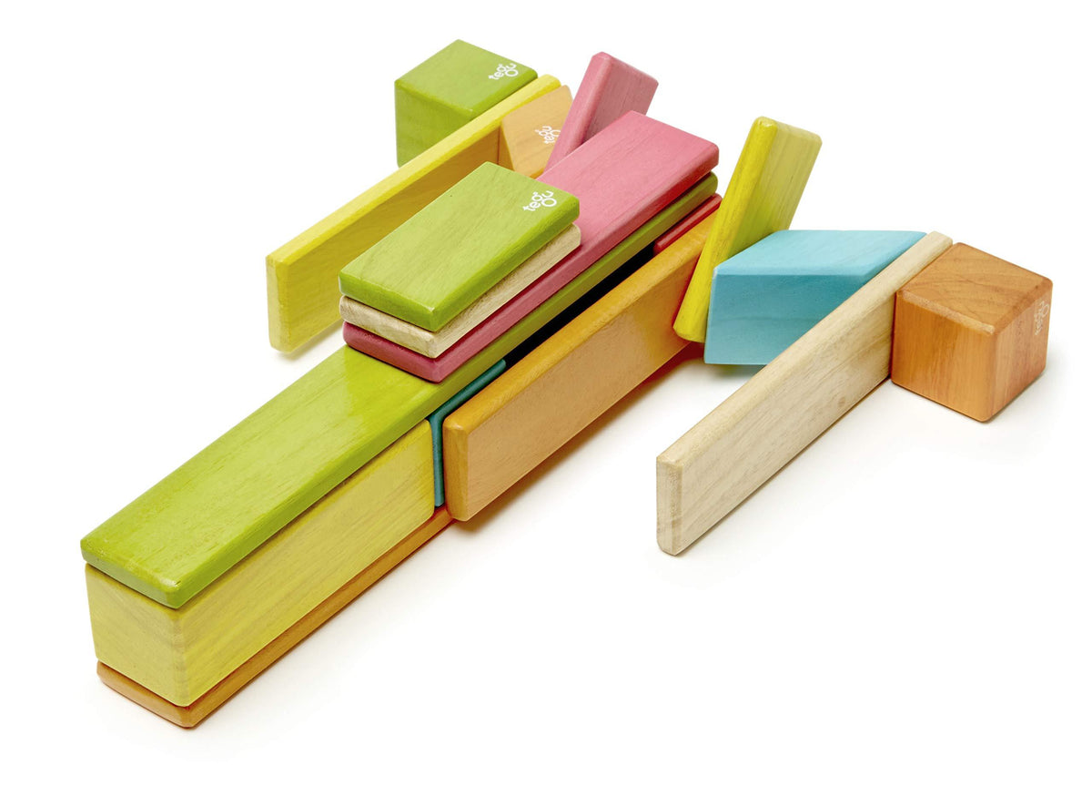 24 Piece Magnetic Wooden Block Set Y754445