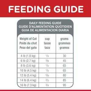 Adult Dry Cat Food B44344