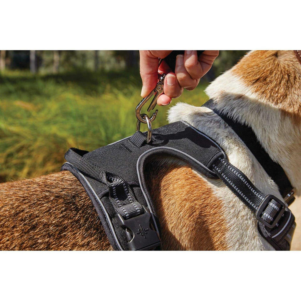Black Front Walking Dog Harness I3471
