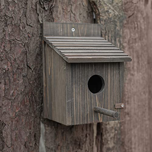Weatherproof Wooden Bird House with Pole G26028
