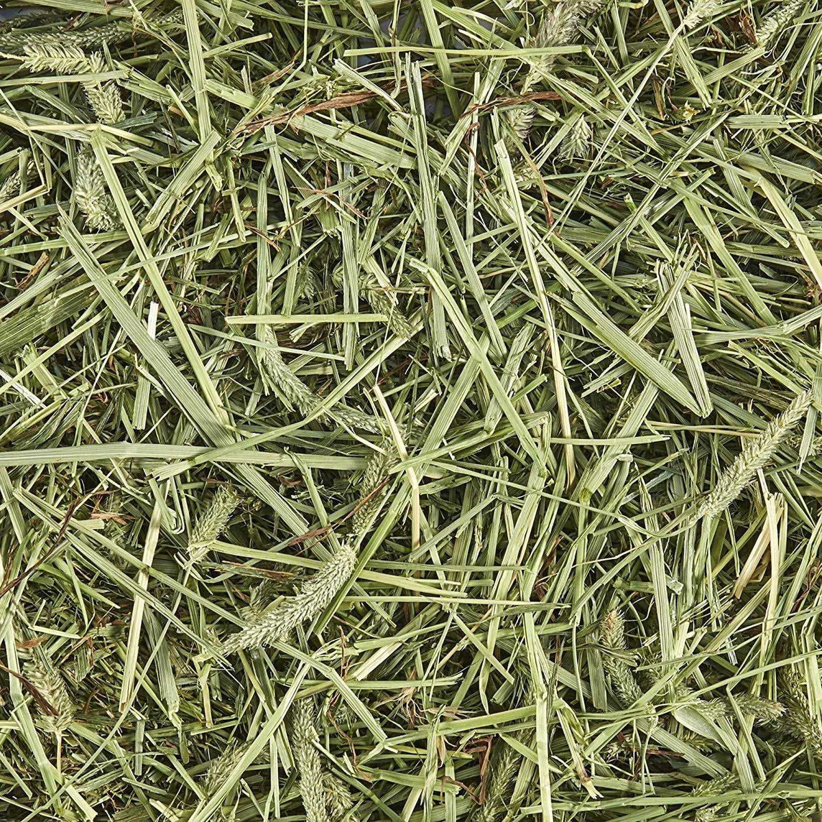 Natural Timothy Hay Q9406