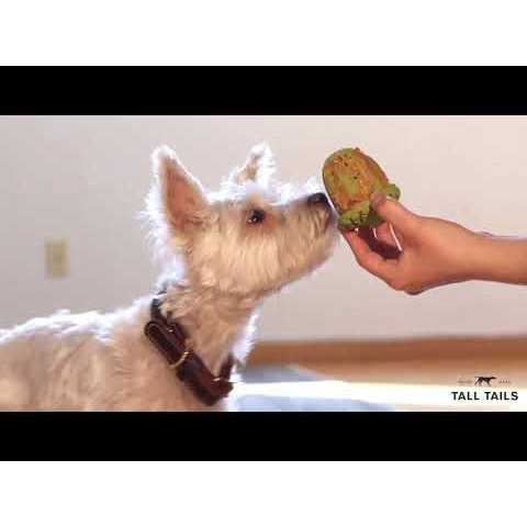 Natural Rubber Dog Toy O55008