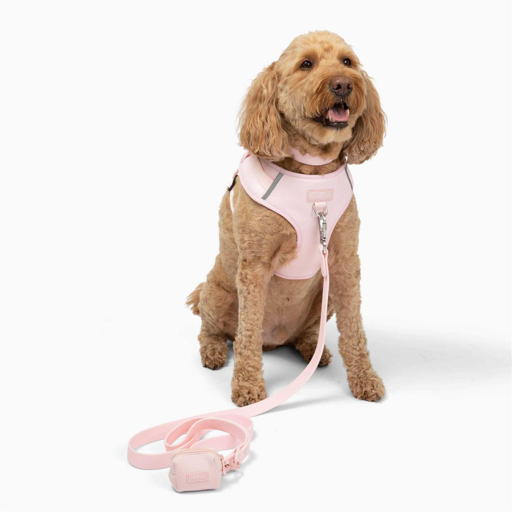 No-Pull Neoprene Dog Harness J759667