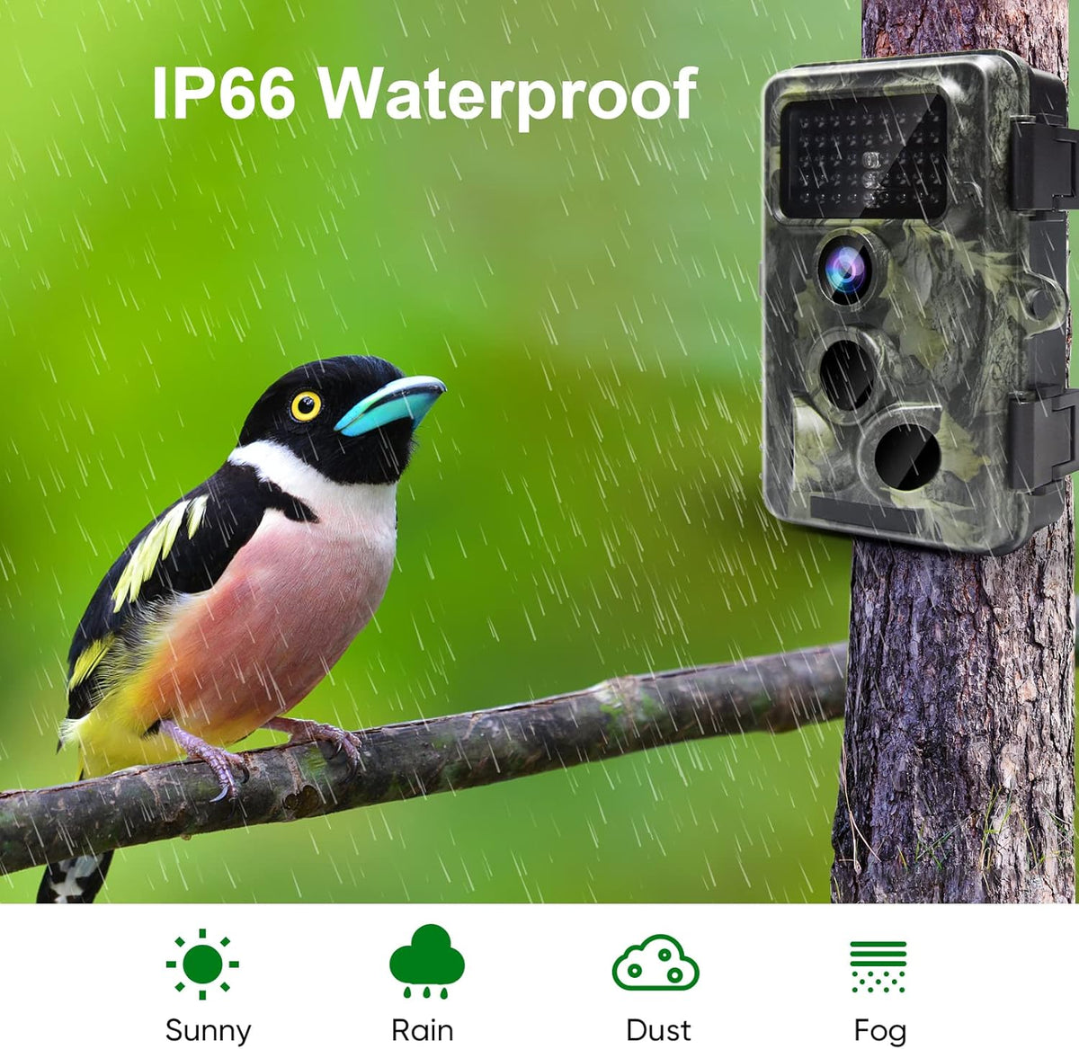 4K 30MP WiFi Trail Camera with Night Vision Q1225
