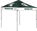 10 x 10 Straight Leg Canopy with Carry Bag O8126