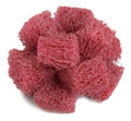 Buff and Blend Cross Buff R917828