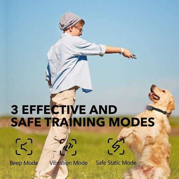 Dog Training System Q134480