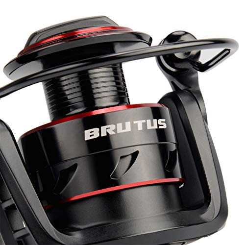 Spinning Reel Graphite Frame CNC Aluminum Spool 5.2:1 Gear Ratio J756186