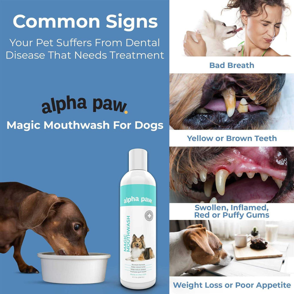 Dog Mouthwash R6615
