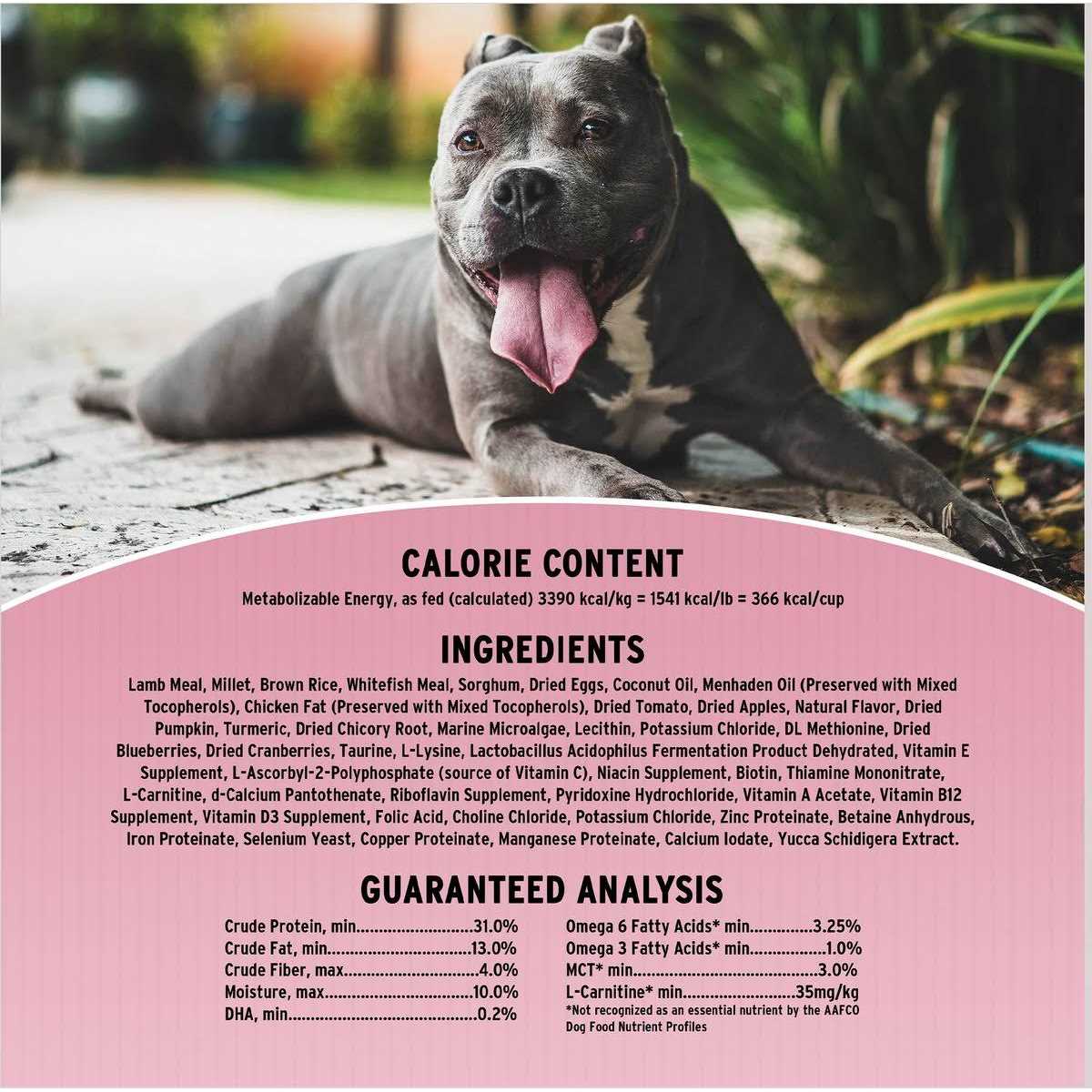 Sensitive Skin & Stomach Dry Dog Food K7872