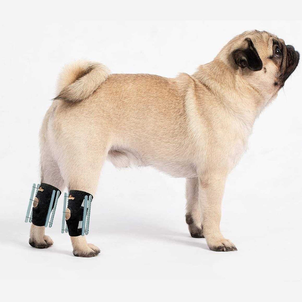3-in-1 Short Rear Leg Support Small Dog Splint Braces K25482