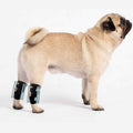 3-in-1 Short Rear Leg Support Small Dog Splint Braces K25482