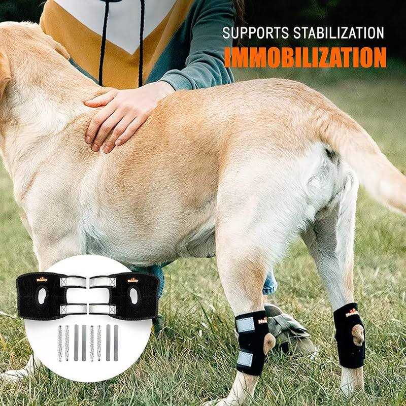 3-in-1 Short Rear Leg Support Small Dog Splint Braces K25482