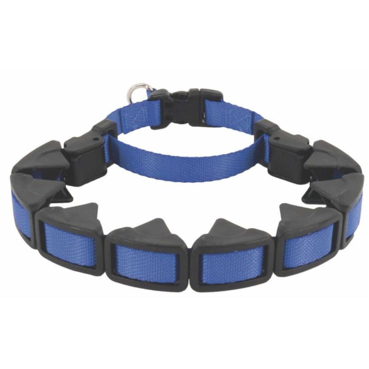Training Collar D28001