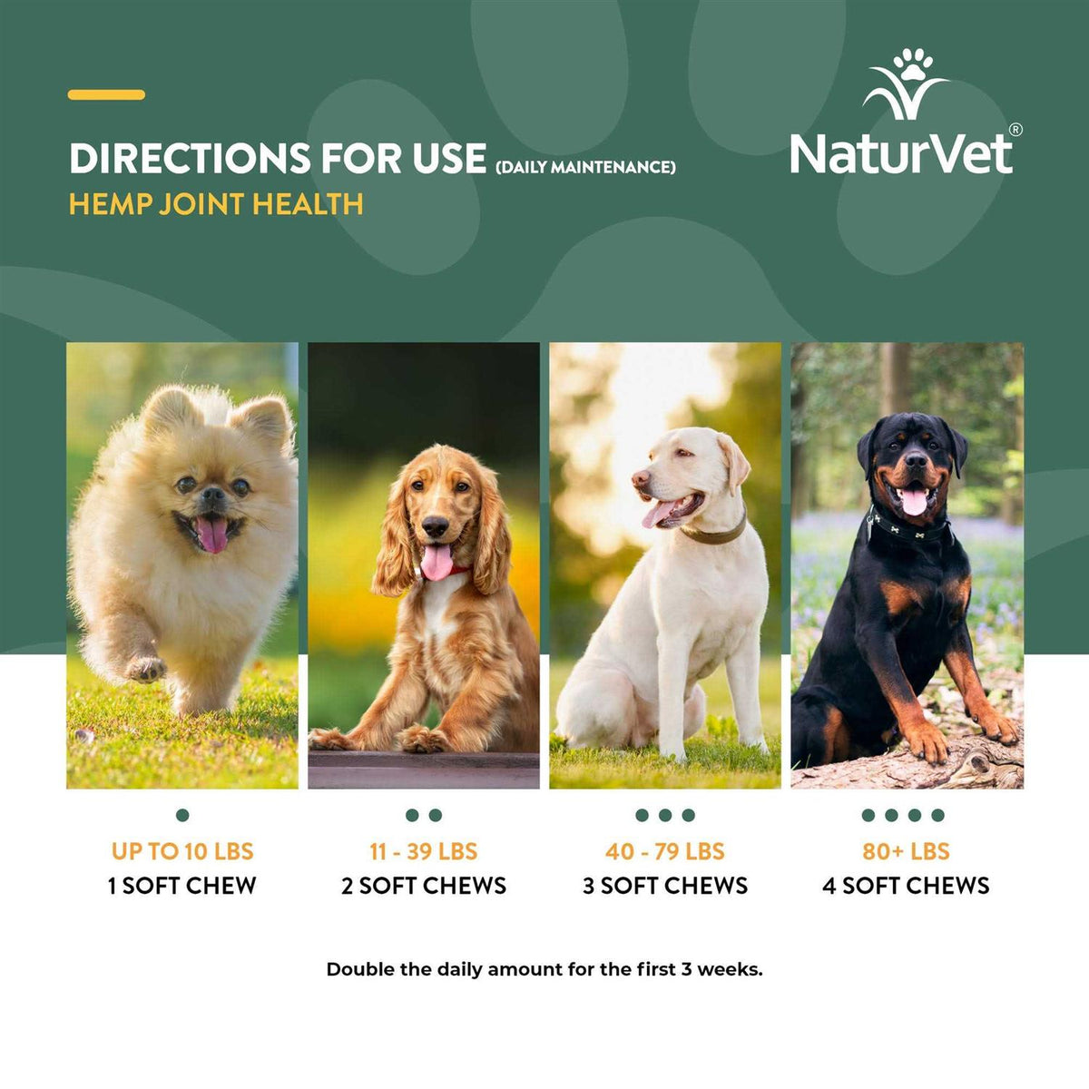 Hemp Joint Health for Dogs N11428