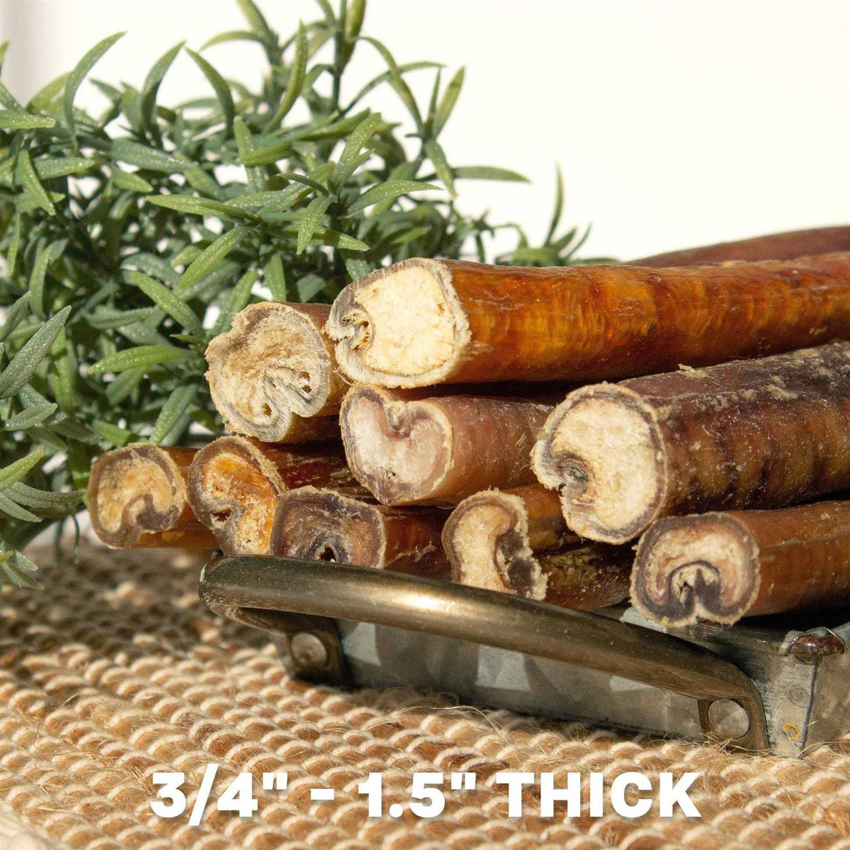 Bully Sticks Dog Chews F594