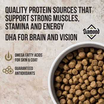 Premium Adult Dog Food F839