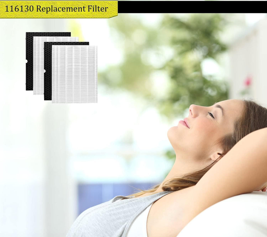 2 Pack True HEPA Filters + 2 Pack Activated Carbon Pre-Filters I513