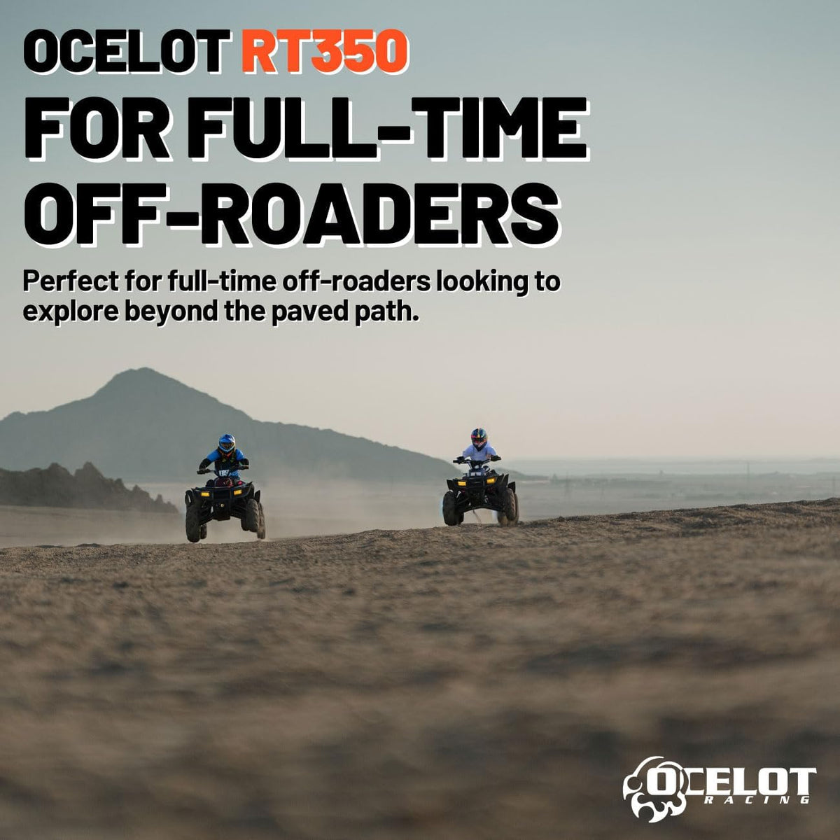 25x8x12 UTV Tires All-Terrain Tire 6-Ply Bias Non-Directional Aggressive Tread A748221
