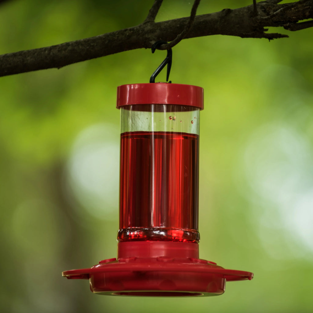 16 oz Red Plastic Hummingbird Feeder O990