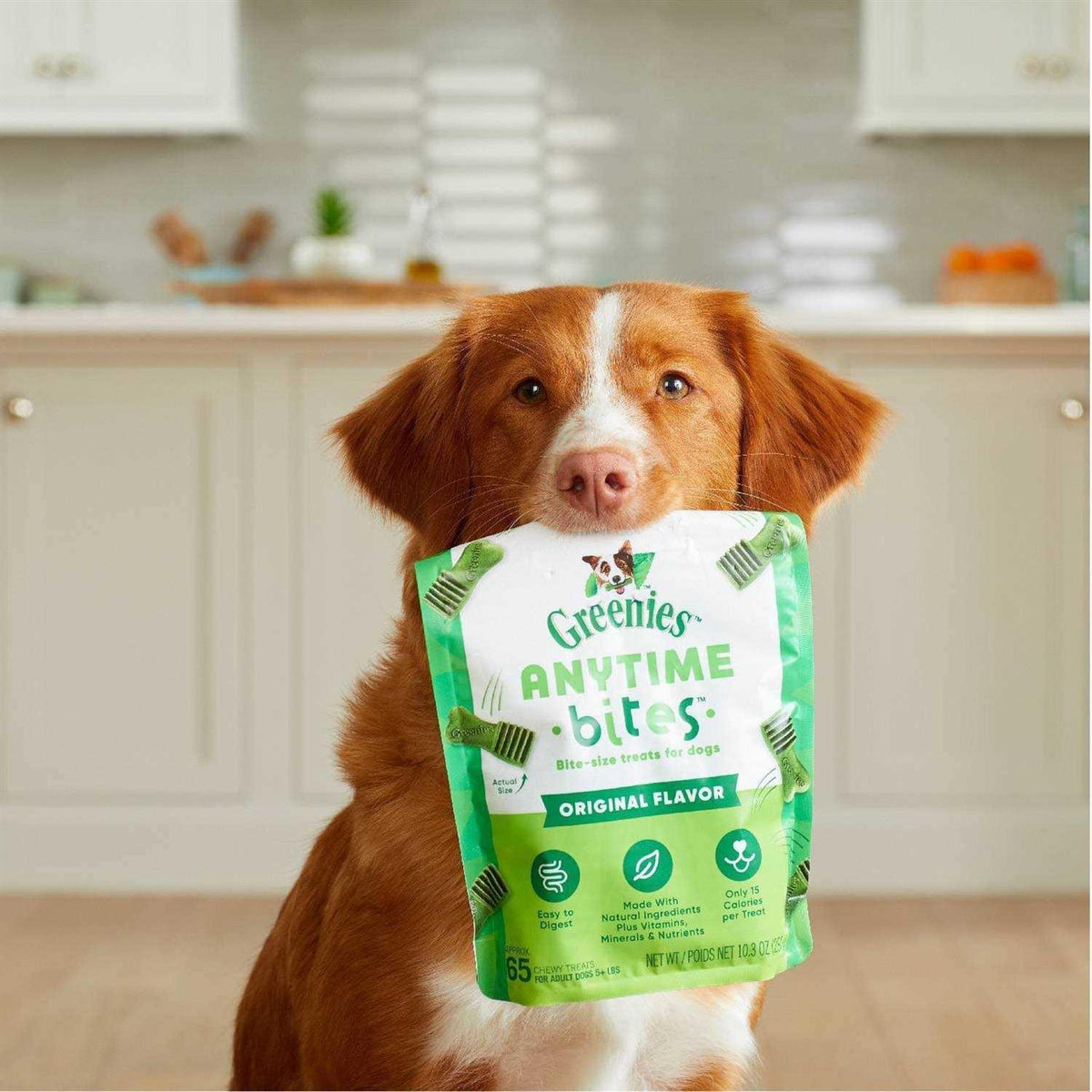 Dog Treats S80806