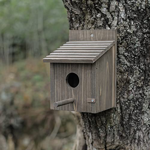 Weatherproof Wooden Bird House with Pole G26028