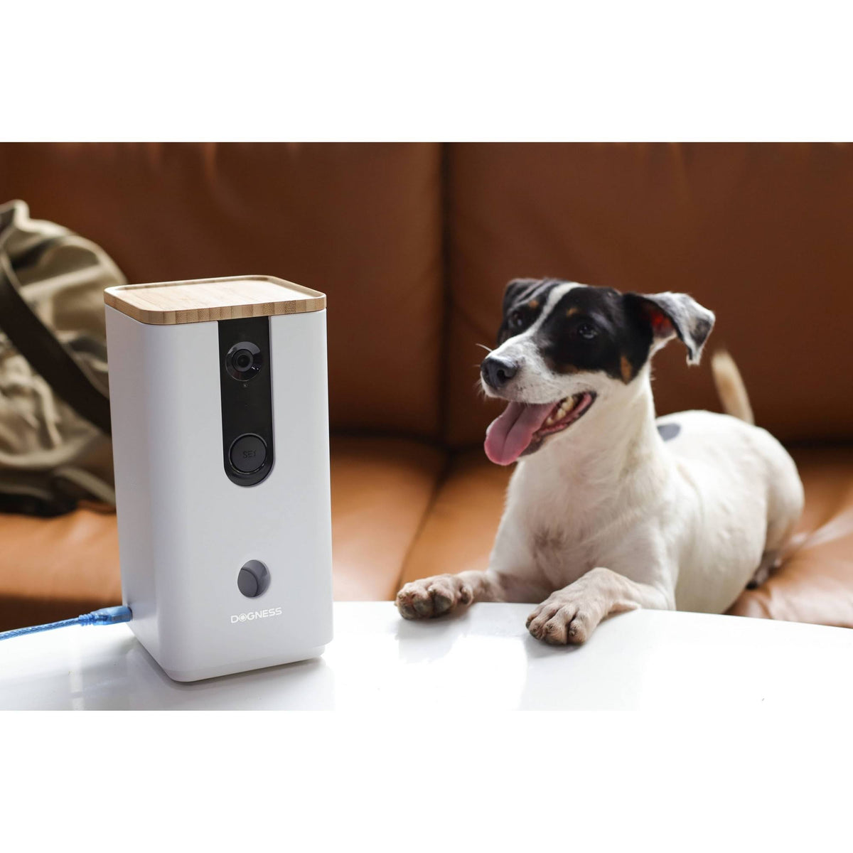 White Pet Treat Dispenser with Camera G86409