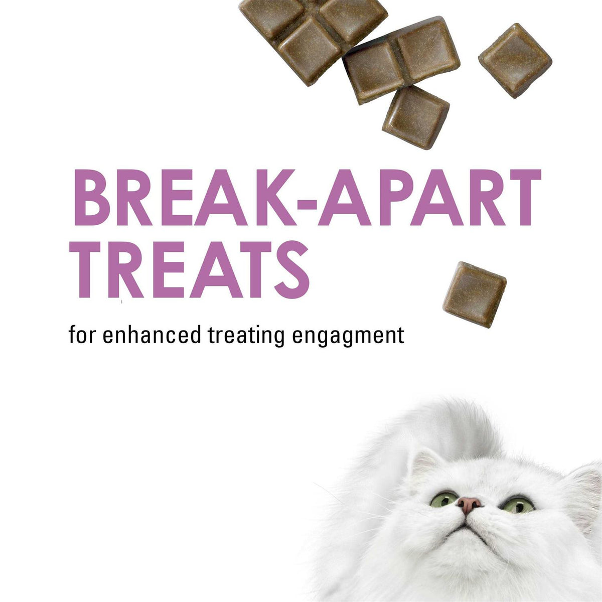 Beef Flavor Cat Treats H1988