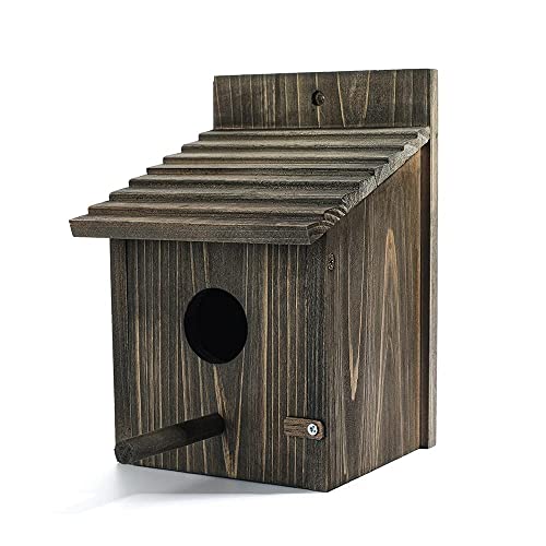 Weatherproof Wooden Bird House with Pole G26028