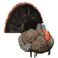 Hard Body Turkey Decoy M38488