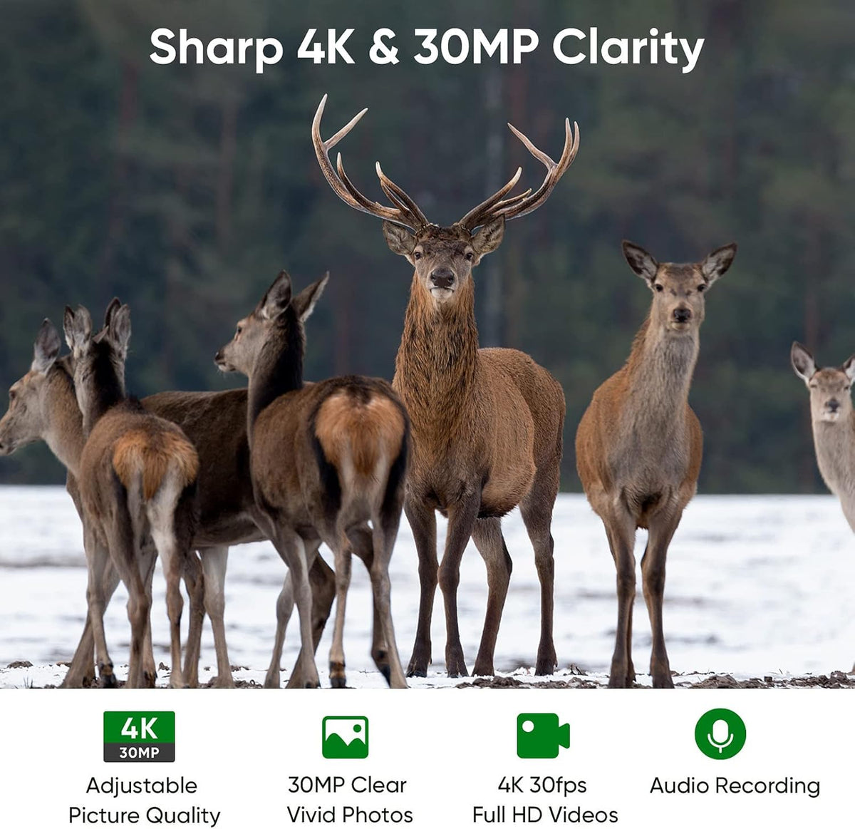 4K 30MP WiFi Trail Camera with Night Vision Q1225