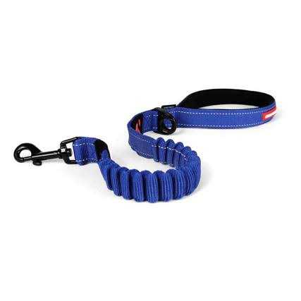 Zero Shock Dog Leash G360