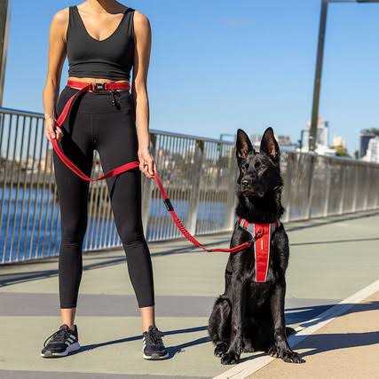 Road Runner Leash F904