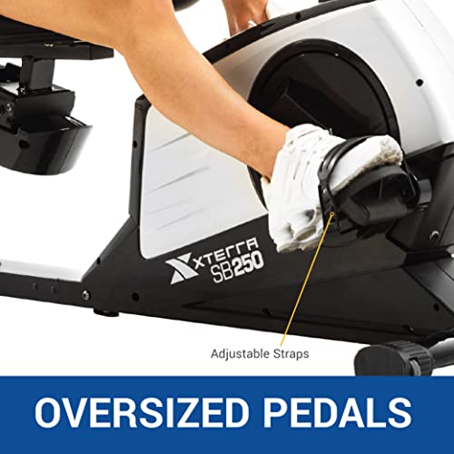Recumbent Bike U666