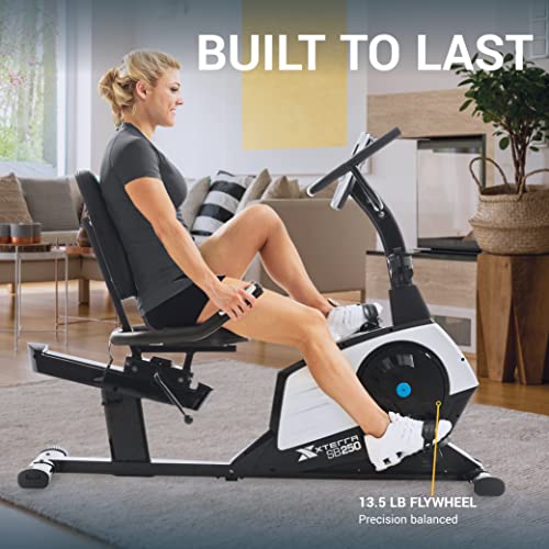 Recumbent Bike U666