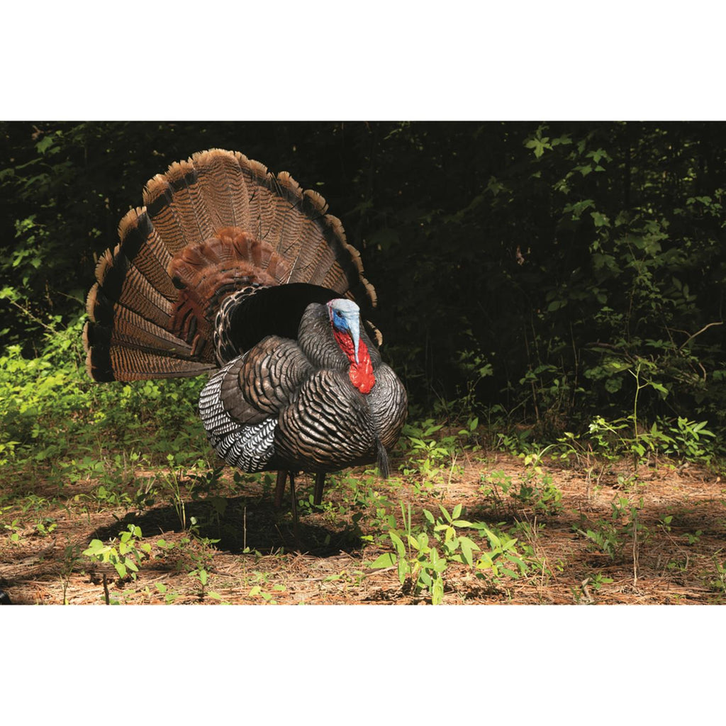 Hard Body Turkey Decoy M38488