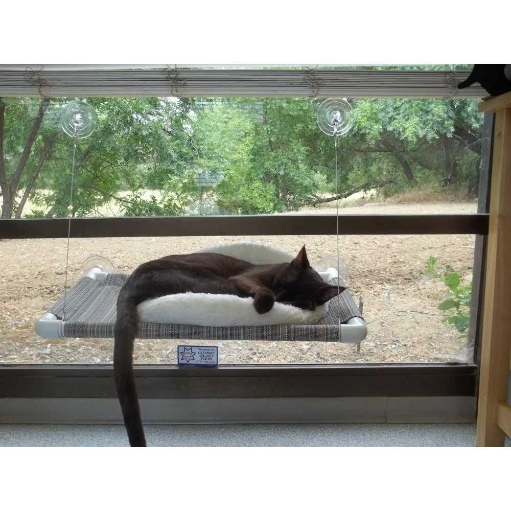 Cat Perch E4248