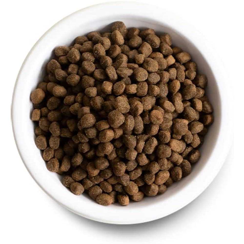 Pasture Raised Lamb Ancient Grains Dry Dog Food C13620