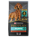 Sensitive Skin & Stomach Dry Puppy Food R5931