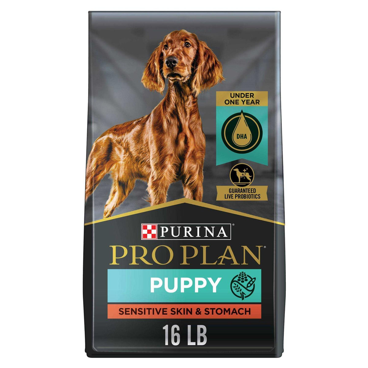 Sensitive Skin & Stomach Dry Puppy Food R5931