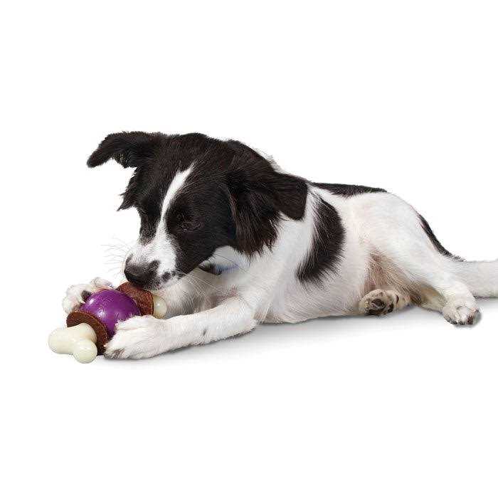 Bouncy Bone D7706