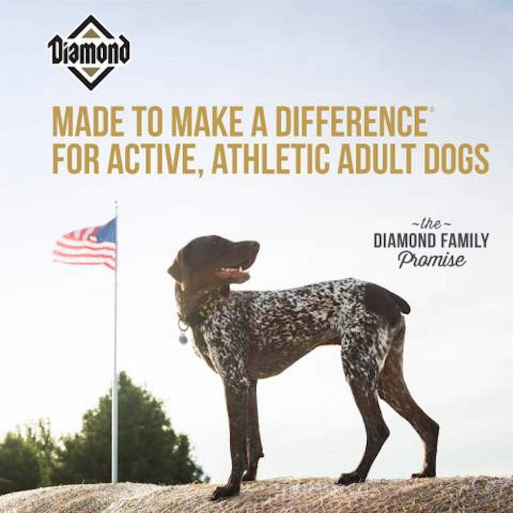 Premium Adult Dog Food F839